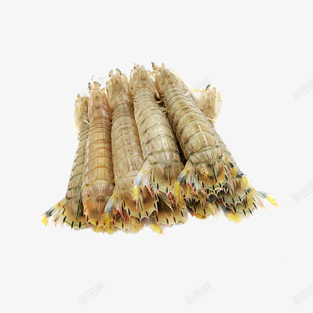 皮皮虾片png免抠素材_新图网 https://ixintu.com 海鲜食品 澳洲龙虾 皮皮虾 美味虾子 虾子设计 麻辣虾 龙虾设计