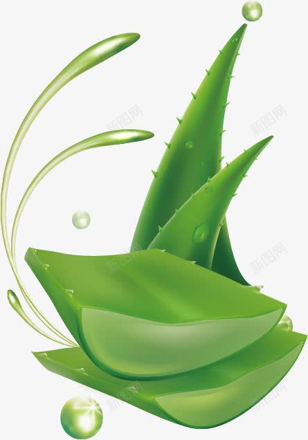 芦荟png免抠素材_新图网 https://ixintu.com 化妆品包装素材 植物 植物精华 纯天然 绿色 美容养颜 芦荟