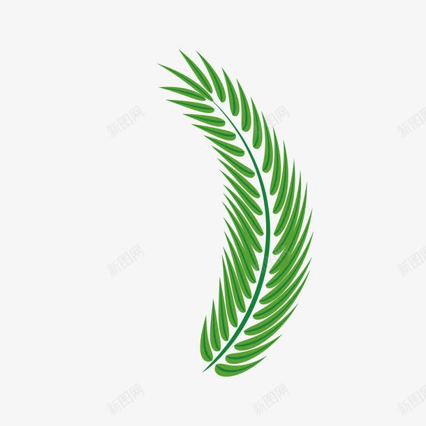 棕榈叶图标png_新图网 https://ixintu.com 传统 假日 分支 叶 喜庆 图标 基督 基督教 复活节 夏 天主教 宗教 帆布 庆典 开花 星期日 有福 树 棕榈 棕榈叶绿色矢量装饰 植被 概念 海滩 绿色 绿色矢量棕榈 耶稣 自然 艺术背景 花卉