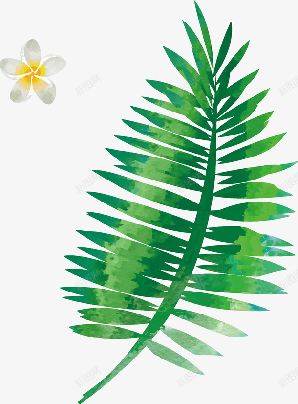手绘水彩植物棕榈叶矢量图ai免抠素材_新图网 https://ixintu.com 夏天 手绘 棕榈叶 棕榈树 植物 水彩 清凉 清新 绿植 矢量图
