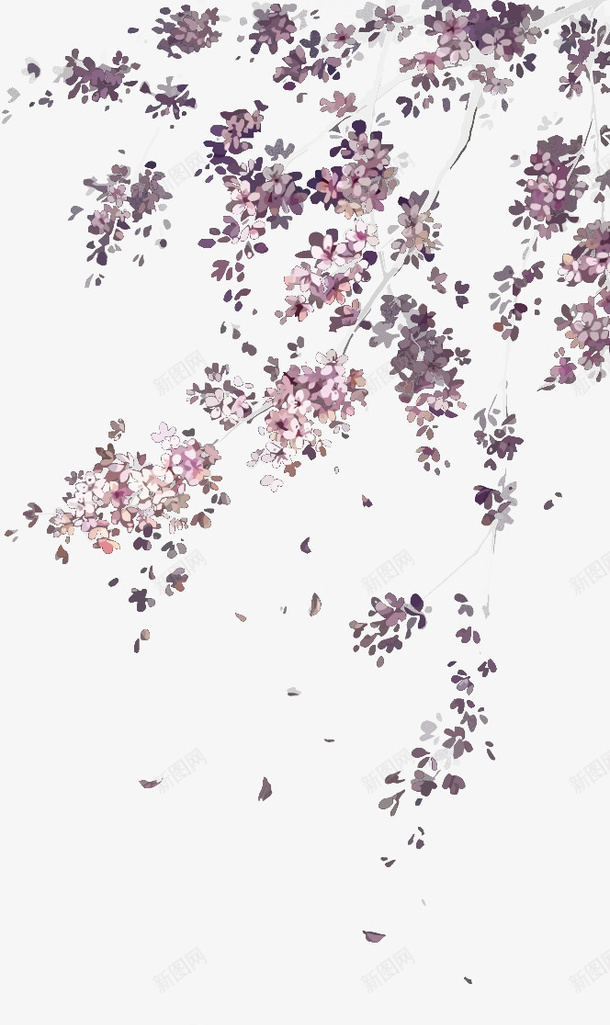 樱花矢量图eps免抠素材_新图网 https://ixintu.com PNG图片素材 PNG素材 PNG素材免费下载 春天 樱花 矢量图