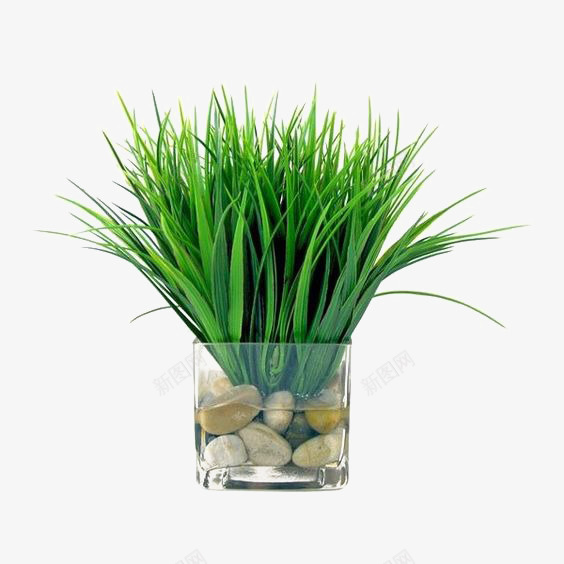 一盆韭菜png免抠素材_新图网 https://ixintu.com PPT 免扣PNG 植物 绿色 蔬菜 食物 食用