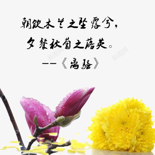 端午节经典楚辞古典诗词传统文化png免抠素材_新图网 https://ixintu.com 传统文化 古典诗词 离骚 端午节 经典楚辞