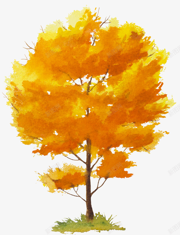 手绘橘色的树木图png免抠素材_新图网 https://ixintu.com 创意 卡通手绘 叶子 树木 橘色 水彩 秋天 黄色