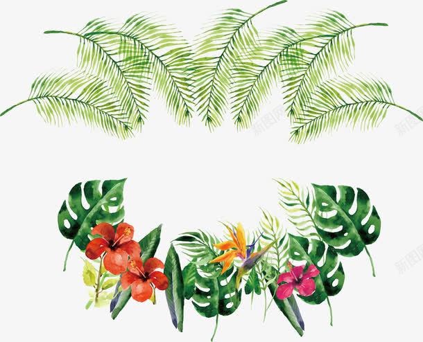 水彩热带植物边框png免抠素材_新图网 https://ixintu.com 夏日海报 水彩植物 热带植物 矢量png 芭蕉叶 针叶树叶