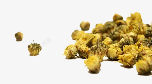 杭白菊花苞干png免抠素材_新图网 https://ixintu.com 杭白菊 花干 花苞 花茶 菊花