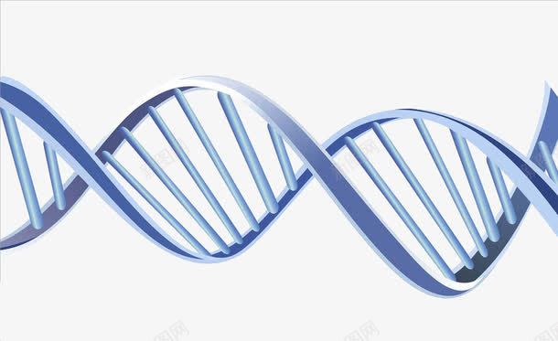 DNA分子式背景png免抠素材_新图网 https://ixintu.com 分子式 素材 背景 设计