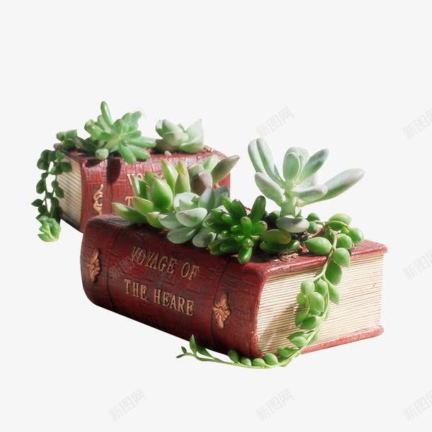 创意绿植花器png免抠素材_新图网 https://ixintu.com 复古花器 多肉植物小花盆 文学书手提箱 装饰道具