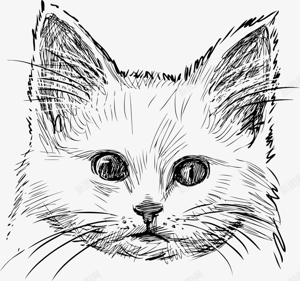 创意猫头像手绘速写猫咪png免抠素材_新图网 https://ixintu.com 创意猫头像 剪影 卡通猫咪 头像 姿势 幽默 手绘 手绘卡通猫 手绘猫狗 手绘线描 有趣 滑稽 漫画 猫头像