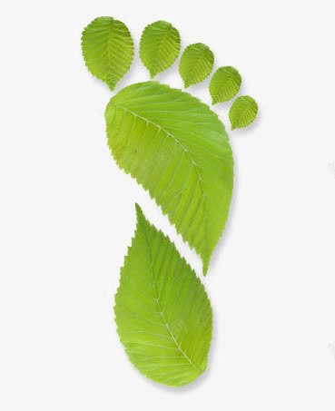 创意脚印png免抠素材_新图网 https://ixintu.com 印记 粉嫩足底 绿色叶片 脚印 脚掌 脚掌免扣元素 足底