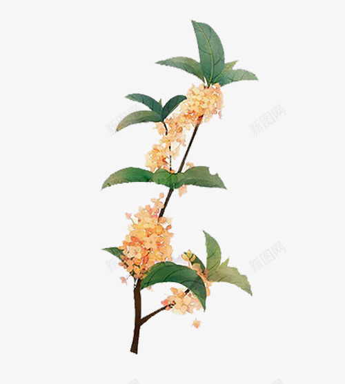 手绘金色桂花psd免抠素材_新图网 https://ixintu.com 手绘桂花树 手绘装饰物 桂花 桂花插画 桂花枝干 桂花树 植物 绿色植物 金色
