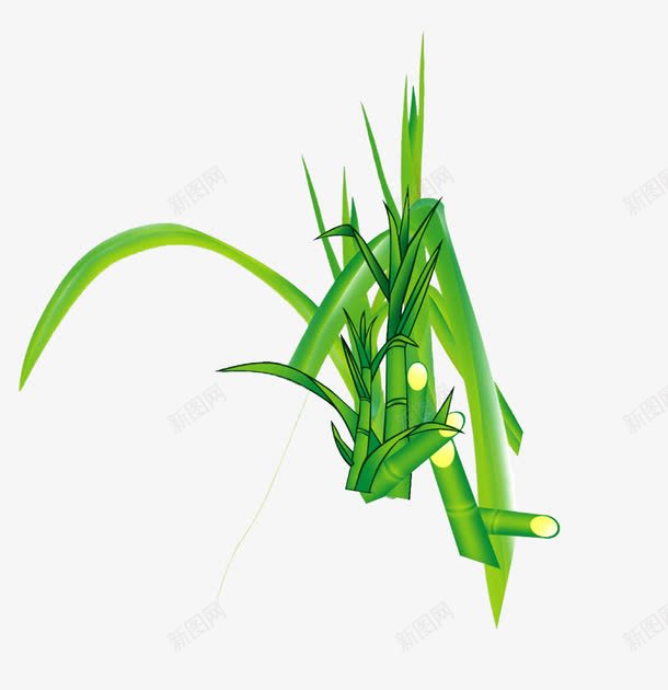 甘蔗绿叶png免抠素材_新图网 https://ixintu.com 卡通 植物 水果 甘蔗 竹蔗 绿叶