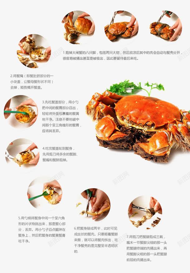 大闸蟹详情页png免抠素材_新图网 https://ixintu.com 大闸蟹 螃蟹食用方式图 详情页图片