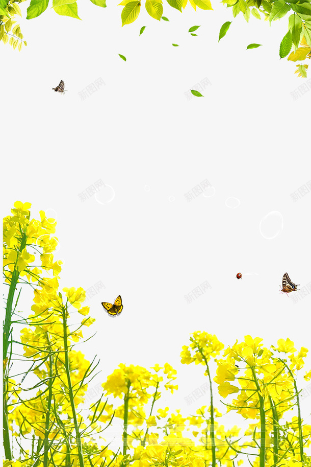 春季美丽油菜花装饰边框psd免抠素材_新图网 https://ixintu.com 大自然景色边框 春季 春游 春色 植物边框 油菜花装饰边框 美图边框 花朵装饰边框