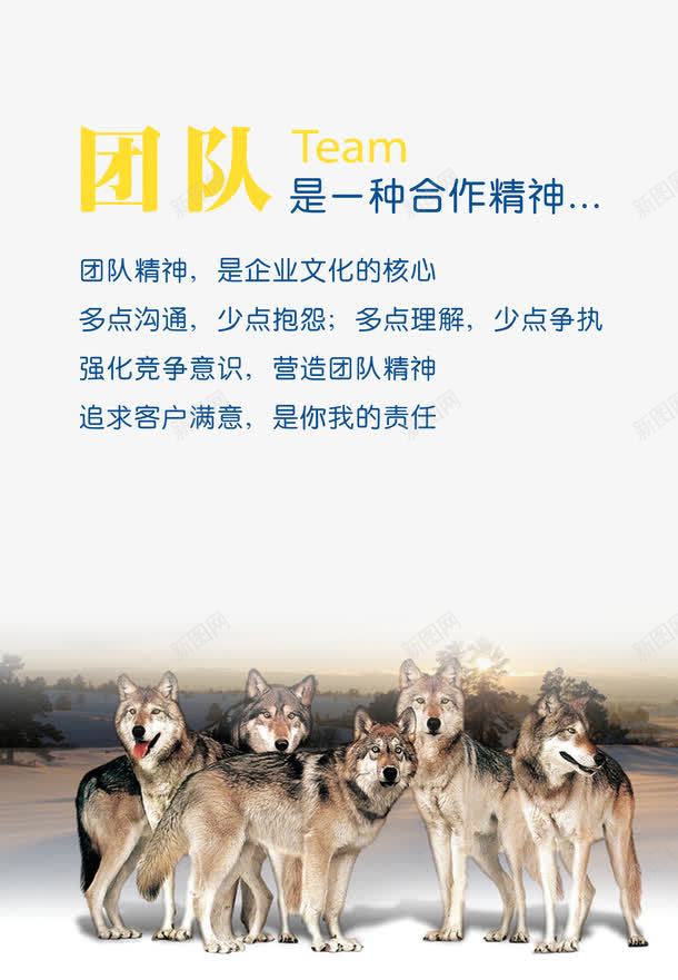 团队合作精神png免抠素材_新图网 https://ixintu.com 企业 企业文化 合作 团队 团队合作精神 精神