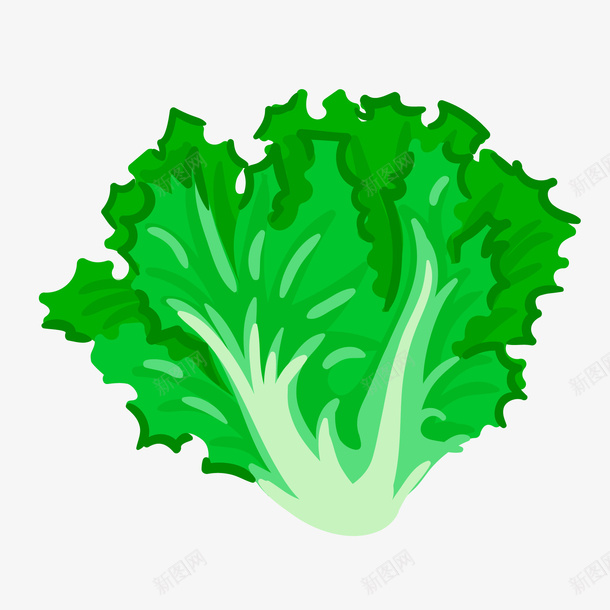 卡通手绘绿色的生菜叶矢量图ai免抠素材_新图网 https://ixintu.com 厨房 植物 生菜叶 蔬菜 食材 食物 矢量图