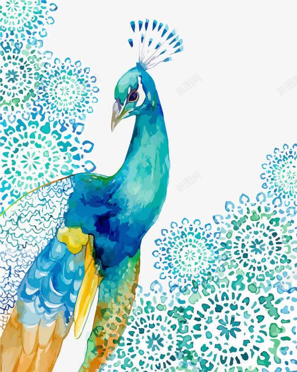 漂亮孔雀矢量图ai免抠素材_新图网 https://ixintu.com 孔雀 水彩画 矢量图