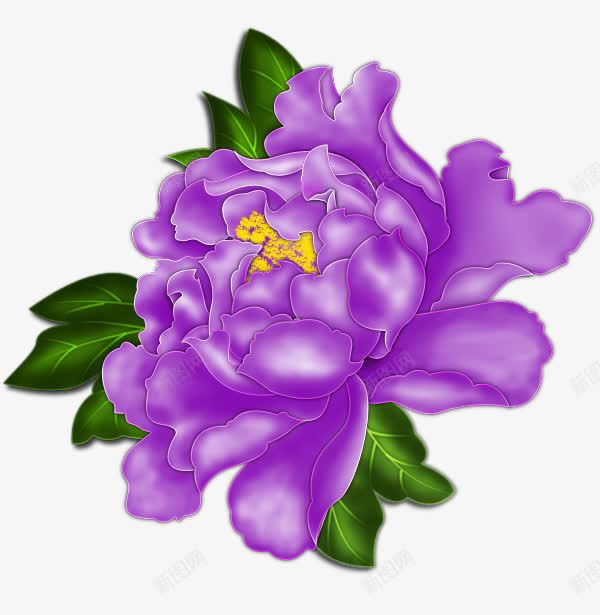 紫色绿叶牡丹花png免抠素材_新图网 https://ixintu.com 山水画 牡丹花 紫色 绿叶