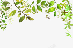 手绘绿色植物叶子装饰素材