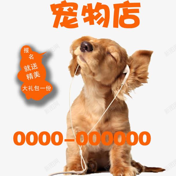 宠物店宣传单狗狗png免抠素材_新图网 https://ixintu.com 听音乐 宠物店宣传单 宠物美容 护理 热线电话 狗狗