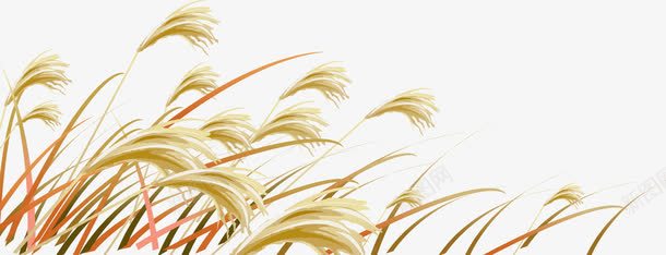 春天黄色手绘植物png免抠素材_新图网 https://ixintu.com 春天 植物 黄色