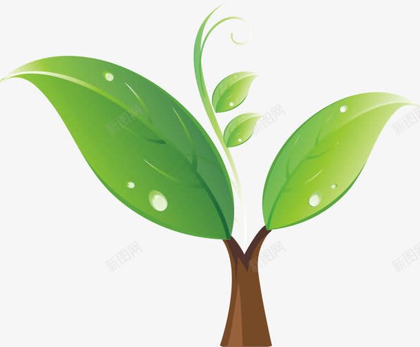 绿色发芽png免抠素材_新图网 https://ixintu.com AI 卡通 发芽 叶子 幼苗 手绘 线条 绿叶 绿色 绿芽