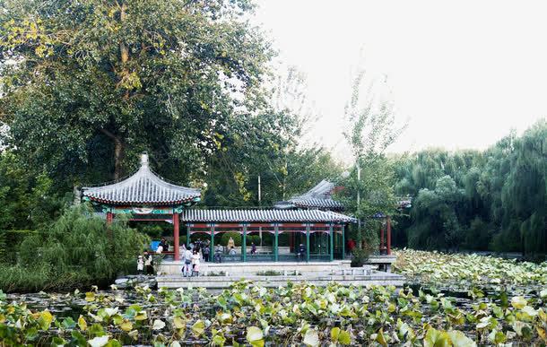 清华大学png免抠素材_新图网 https://ixintu.com 校园 池塘 清华 清华大学 绿色 风景