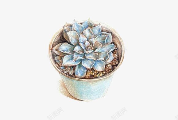 植物png免抠素材_新图网 https://ixintu.com 多肉 手绘 水彩画