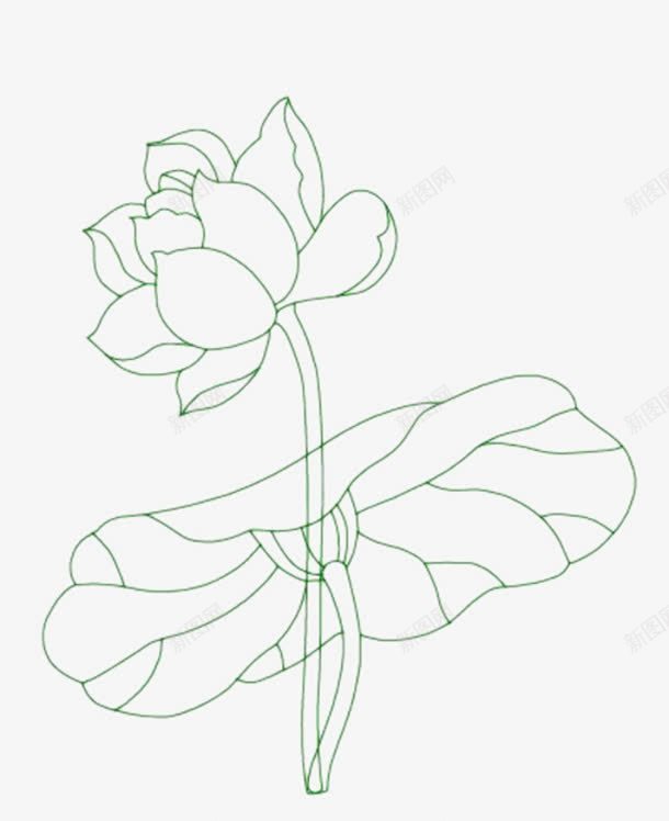 绿色线条荷花png免抠素材_新图网 https://ixintu.com 手绘睡莲 睡莲 睡莲线条 线稿荷花 荷花 莲花 莲花画稿图片素材