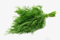 绿色茴香调味食物png免抠素材_新图网 https://ixintu.com 绿色 茴香 调味 食物