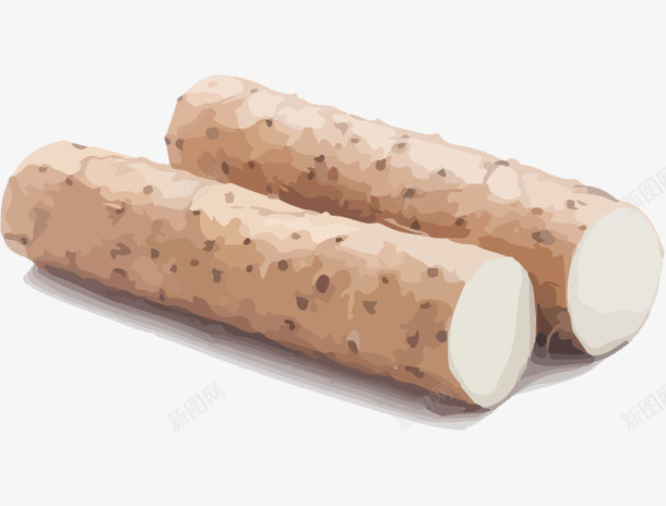 手绘风格食材山药两段png免抠素材_新图网 https://ixintu.com 养生 山药 山药手绘 浅褐色 滋补 药材 蔬菜 食材 食物