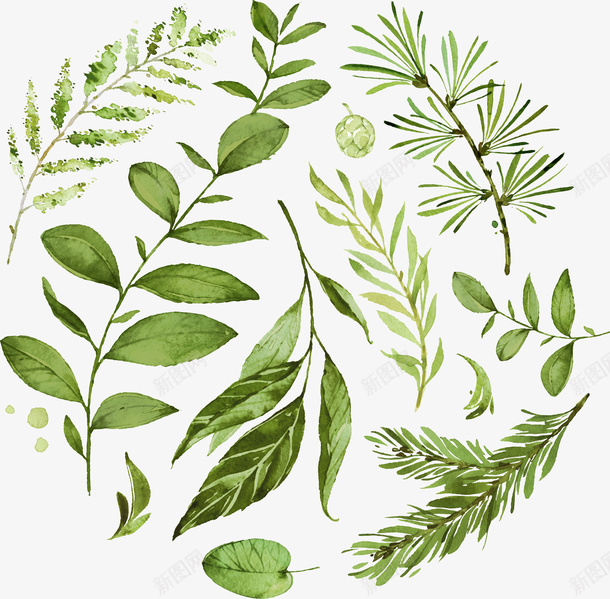 圆形的手绘植物组合png免抠素材_新图网 https://ixintu.com 叶子 圆形 小清新 枝叶 植物 水彩 简约 组合 美丽