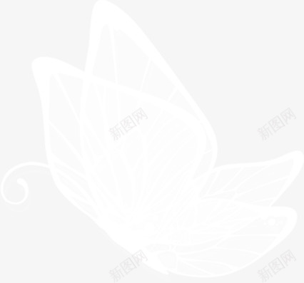 透明蝴蝶png免抠素材_新图网 https://ixintu.com 手绘 白色 蝴蝶 透明