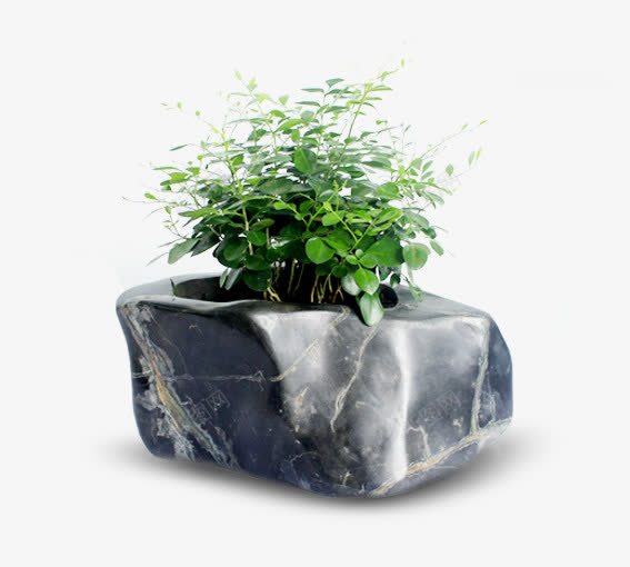 植物石头盆栽png免抠素材_新图网 https://ixintu.com 堆石块 工艺石头 白色 石头 绿色 绿色植物 雕刻石头 青色
