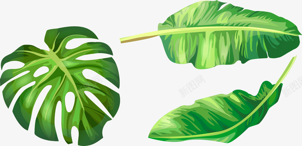 手绘绿色树叶矢量图ai免抠素材_新图网 https://ixintu.com 卡通 手绘 树叶 植物 热带植物 绿色 芭蕉叶 矢量图