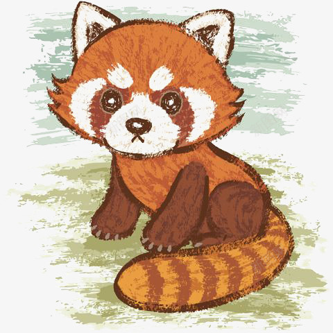 卡通小浣熊png免抠素材_新图网 https://ixintu.com 动物 小熊猫 手绘浣熊 水彩浣熊