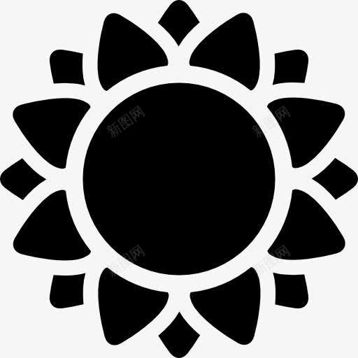 向日葵图标png_新图网 https://ixintu.com 太阳 春天开花 植物 自然 花 花卉