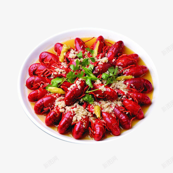 中华美食蒜蓉龙虾png免抠素材_新图网 https://ixintu.com 中华美食 小龙虾 海鲜 美食 蒜 蒜蓉龙虾 食物 香菜