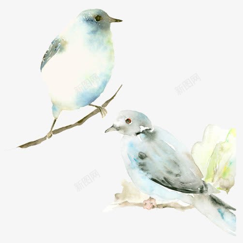 浅色系水彩画png免抠素材_新图网 https://ixintu.com 两只小鸟 小鸟站枝头上 树枝 水墨小鸟 水彩晕染 水彩画 浅色系水彩画 白色小鸟 静物写生