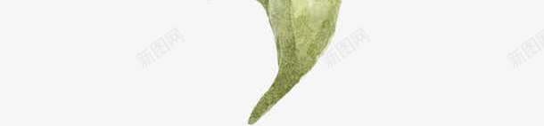 薰衣草png免抠素材_新图网 https://ixintu.com 小清新 水彩 花朵 薰衣草 鲜花