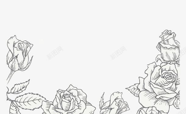 手绘花png免抠素材_新图网 https://ixintu.com 玫瑰花图案 线描花 花边