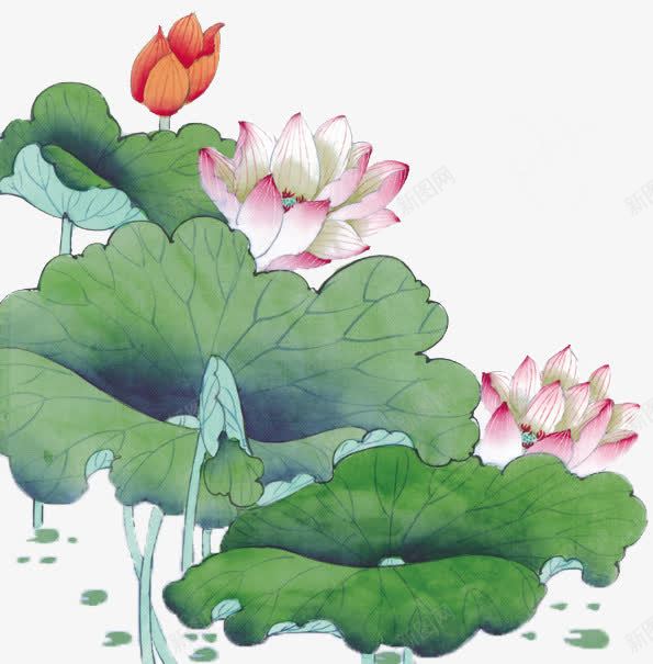 手绘荷花水彩荷塘png免抠素材_新图网 https://ixintu.com 手绘 手绘荷塘免抠 手绘荷塘景色PNG 水彩 水彩荷塘png 池塘 荷花