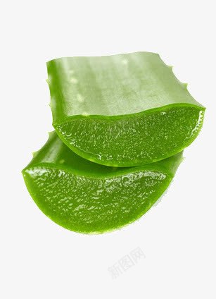 多汁芦荟梗png免抠素材_新图网 https://ixintu.com 去火 绿色 美容