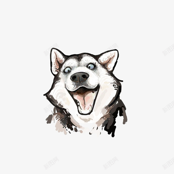 哈士奇狗狗 小清新海报设计 手绘动物头像 萌萌哒的小动物 装饰卡通