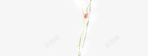 炫彩手捧花藤展架模板psd_新图网 https://ixintu.com X展架设计 x展架 展架 展架模板 展架海报 海报素材 炫彩展架 花藤