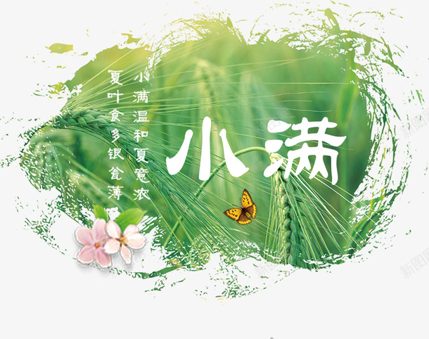 五谷丰收小满海报psd免抠素材_新图网 https://ixintu.com 五谷丰收 五谷丰收小满海报 割禾 唯美 小清新 小满 小麦 海报