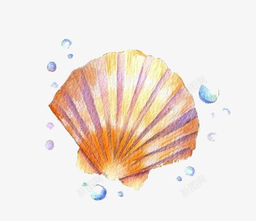 水彩贝壳png免抠素材_新图网 https://ixintu.com 卡通 彩色 手绘 水彩 海洋 装饰 贝壳 黄色