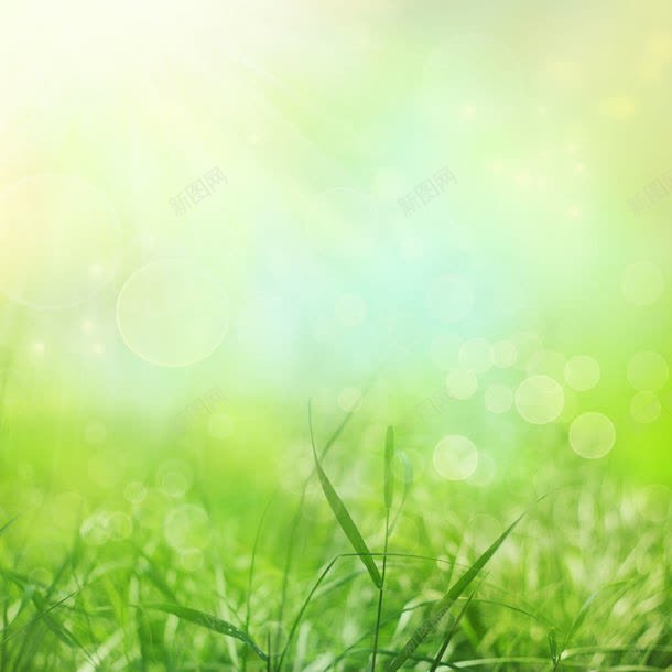 草地与梦幻光斑背景jpg设计背景_新图网 https://ixintu.com 图片素材 底纹背景 底纹边框 春天背景 梦幻光斑 梦幻背景 绿色清新背景 背景花边 草地与梦幻光斑背景图片 草地与梦幻光斑背景图片素材下载 草地背景