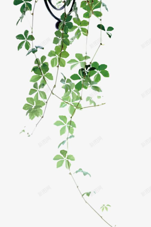 绿色藤蔓png免抠素材_新图网 https://ixintu.com 树叶 植物 水彩 绿色 藤蔓