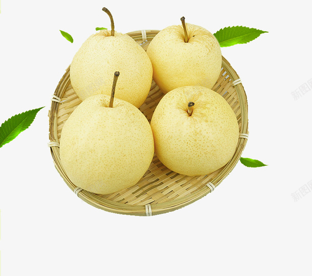 香甜可口皇冠梨png免抠素材_新图网 https://ixintu.com 产地 果肉 止咳 水果 清心润肺 清香 维生素 营养 蛋白质 黄冠梨